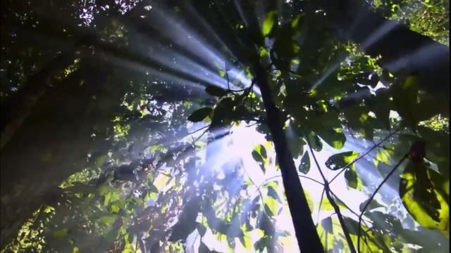 Природа 2 смотреть онлайн