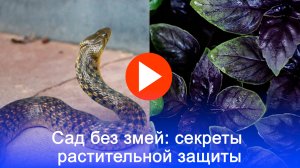 Как избавиться от змей в саду: 3 растения, которые непременно спасут ваш участок