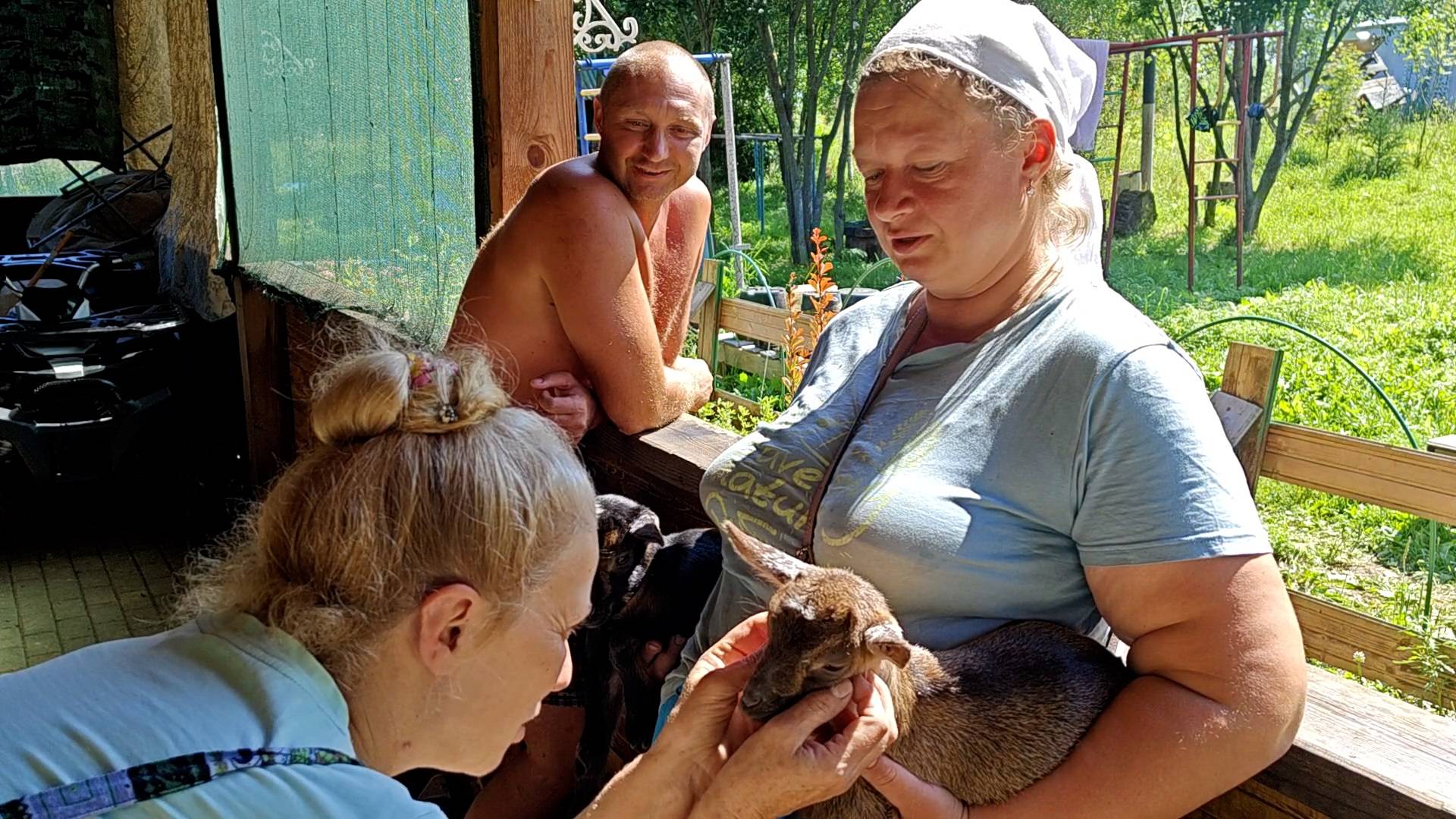 КАКИЕ ЖЕ МИЛЫЕ КАМЕРУНКИ🌼🌷🐐! смотреть онлайн