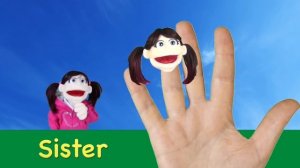 Finger Family Song - Daddy Finger with Matt  Nursery Rhymes  Learn English Kids