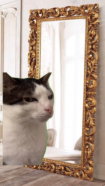 Расследование зашло в тупик...