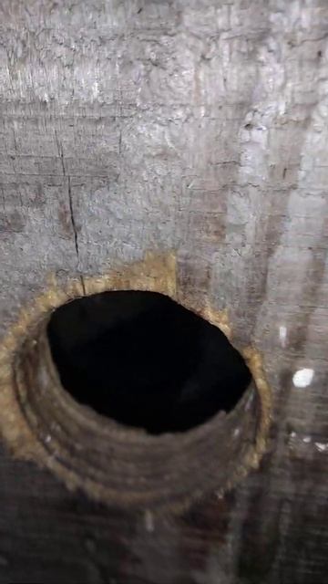 Друзья в лачуге смотреть онлайн