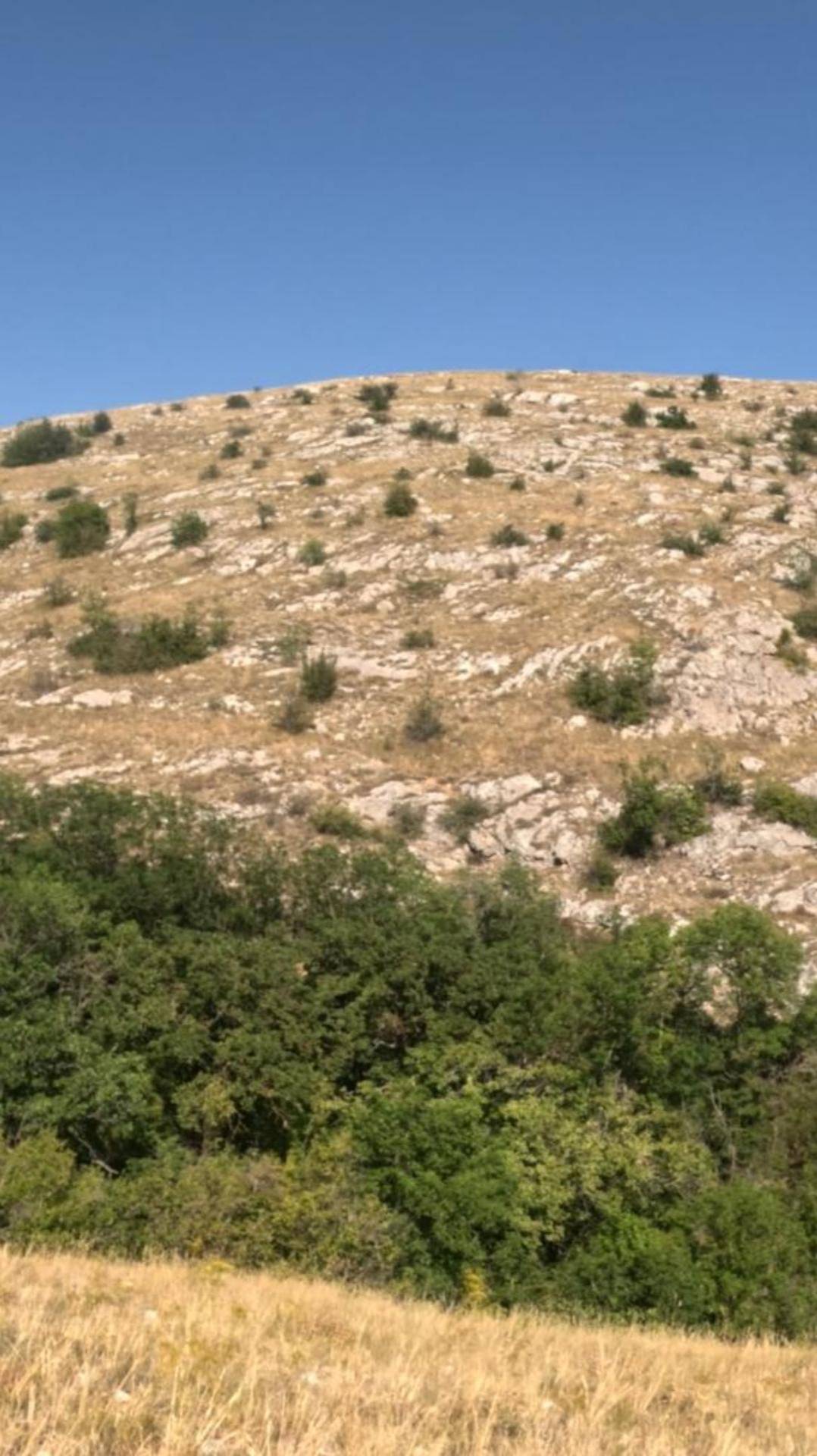 Иссушенная крымская степь