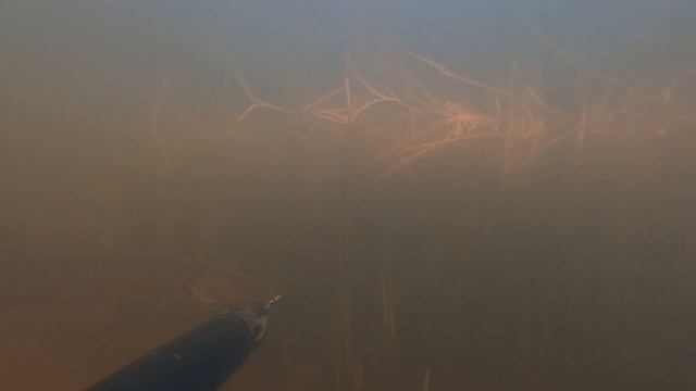 Поохотился на выходных.