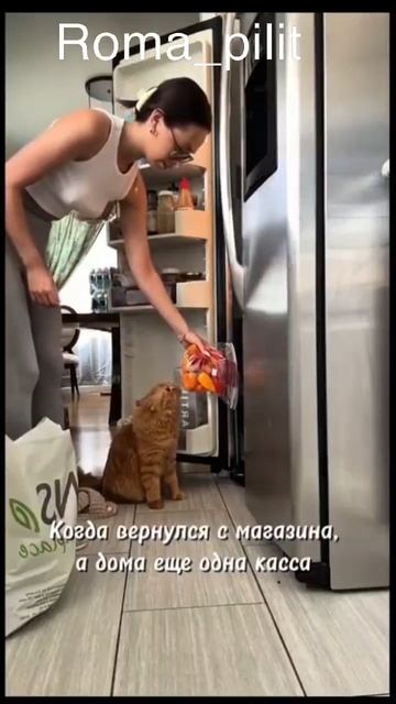 #мойкот #жиза #втораякасса #животные смотреть онлайн