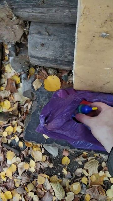 Бичева октябрьская смотреть онлайн