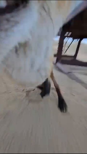 29-07-2025 смотреть онлайн