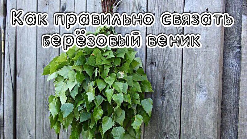 Как правильно связать берёзовый веник для бани. смотреть онлайн