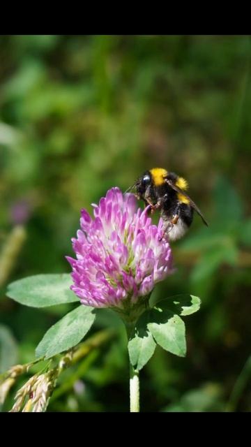 5118 шагов это: