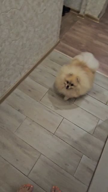 не пущу смотреть онлайн