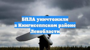 БПЛА уничтожили в Кингисеппском районе Ленобласти