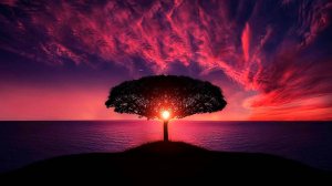 432 ГЦ ЛЕЧЕБНАЯ МУЗЫКА ДЛЯ МЕДИТАЦИИ И ВОССТАНОВЛЕНИЯ НЕРВНОЙ СИСТЕМЫ 🎵 РЕЛАКС МУЗЫКА ДЛЯ СНА