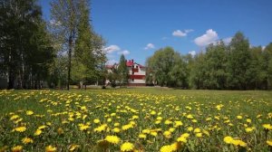 Краткий обзор санатория Ливадия