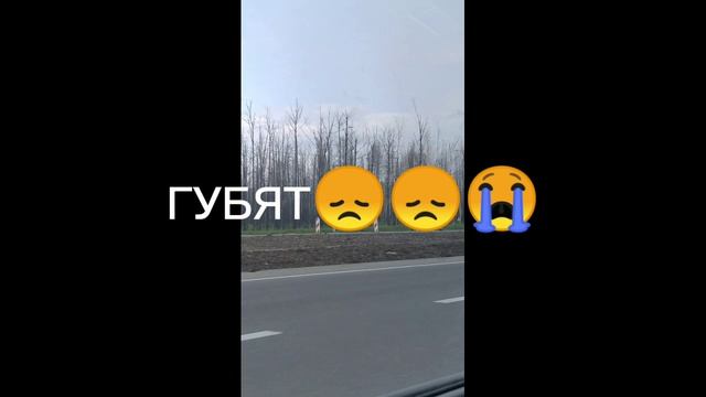 Люди берегите природу смотреть онлайн