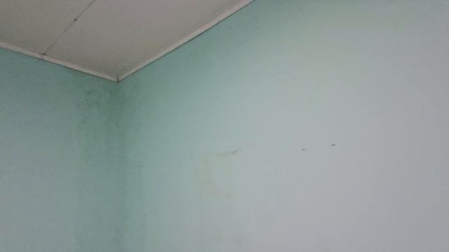 Выс.Гора Юбилейная 2 РСР смотреть онлайн