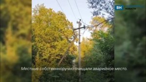 В СНТ под Владимиром неделями не бывает электричества жители столкнулись с проблемами в ЖКХ и руково