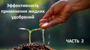 Эффективность применения жидких удобрений.  ЧАСТЬ 2