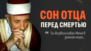 Шейх, который плакал по ночам | Шейх Рамадан аль-Буты