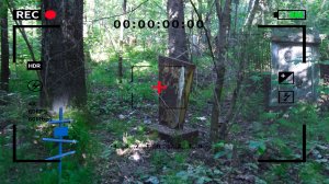 Заброшенное кладбище и сеанс ЭГФ | Прогулка по кладбищу