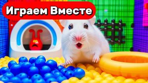 СУПЕР СЕКРЕТНЫЙ ЛАБИРИНТ С ЛОВУШКАМИ ДЛЯ УМНОГО ХОМЯКА 🐹 ВИДЕО ДЛЯ ДЕТЕЙ ! ЧАСТЬ 2
