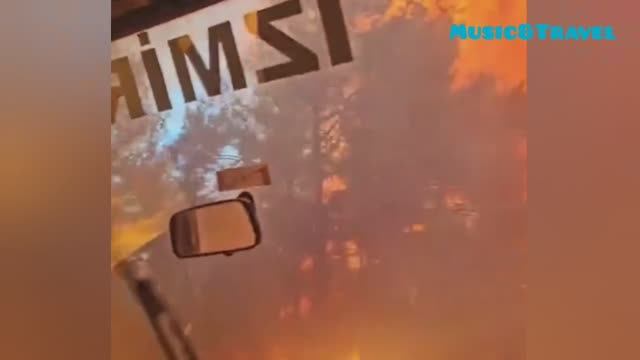 Турецкие волонтёры оказались в эпицентре пожара! смотреть онлайн