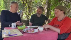 Как восстановить загрязненную почву с помощью биопрепаратов