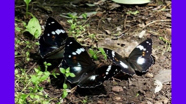 Глаза - говорят больше чем слова.