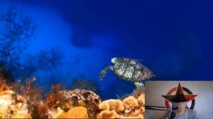 Неосознанное разрушение II _  Поведение как детонатор Агрессии