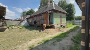 Смогли все сами! Построили дом. Кто будет в нем жить? Собрали первый урожай! Жизнь в деревне.