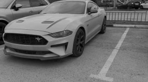 Канал жизнь виа продал мустанг