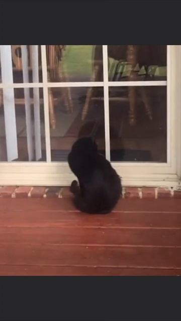 Чёрный так и не понял смотреть онлайн