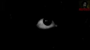 ПОСМОТРИ. Страшные истории на ночь 🫣🫣🫣