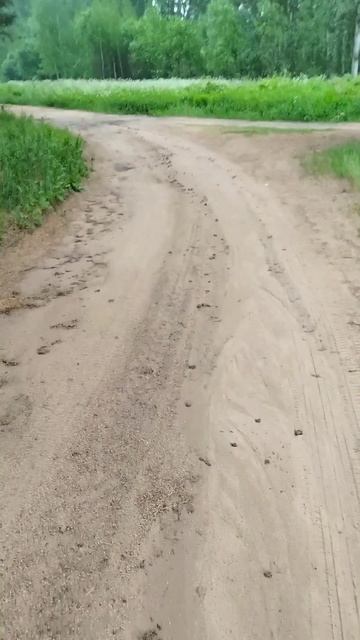 Результаты ночной грозы#2 смотреть онлайн