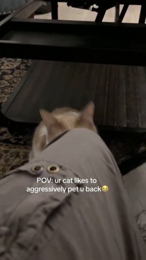 Когда не хватает простой человеческой ласки