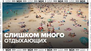Жители Подмосковья пожаловались на отдыхающих на пляжах возле домов - Москва 24