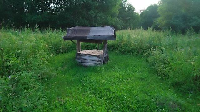 Чистый пруд. Июль 2025