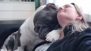 Смущаюсь! Почему тебе нужна собака? — Забавные собаки и забавный человек вместе.