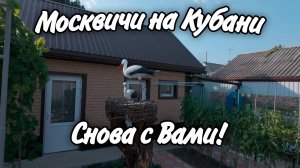 На Ейской косе сорвали сумку с документами! Как можно облагородить 5 соток земли!