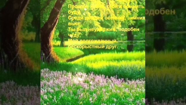 ПРОЩАЙ, ИЮЛЬ! 🦋🌞 С ПОСЛЕДНИМ ИЮЛЬСКИМ ДНЁМ! 🌺🌼🌸 смотреть онлайн