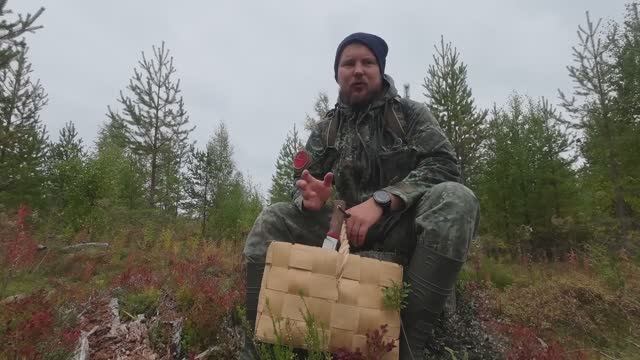 ГРИБНИК ЗАШЁЛ В ЛЕС И НЕ ПОВЕРИЛ ГЛАЗАМ. ГРИБОЧКИ КРУГОМ. СОБИРАЮ ГРИБЫ ДЛЯ ЗАСОЛКИ. БЕЛЫЕ ГРУЗДИ смотреть онлайн