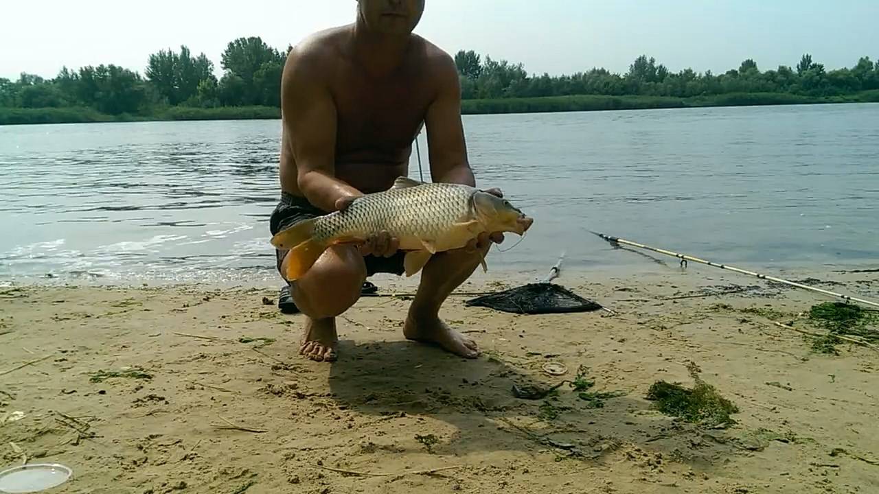 Рыбалка на Дону в Июле смотреть онлайн