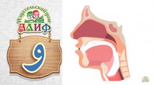 Долгая буква و _уау_ Места артикуляции звуков арабского языка