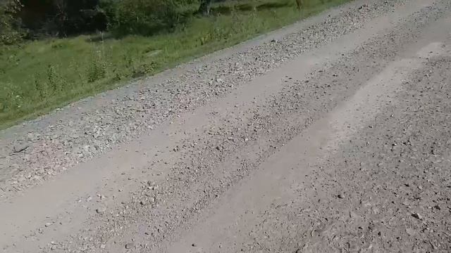 Жители села Топольное Солонешенского района требуют привести в порядок дорогу смотреть онлайн