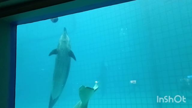 Москвариум