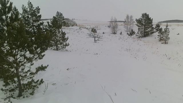 Охота на хитрого зайца,меткий выстрел смотреть онлайн