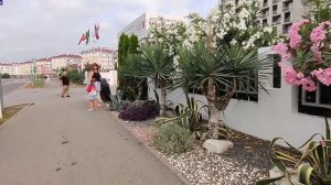 Абхазия Экскурсия по Цитрусовому совхозу Сириус Цены Белые скалы 30 июля 2025 г.