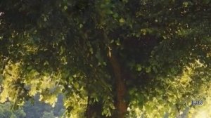 Истории из жизни|Жизнь до и после тебя|Аудио рассказы|Аудиокниги слушать онлайн|Жизненные истории