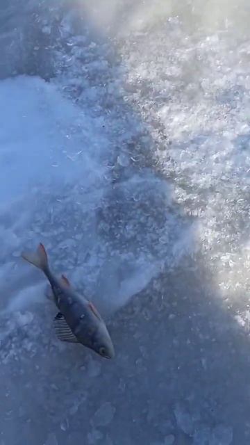 На озере Зюраткуль.