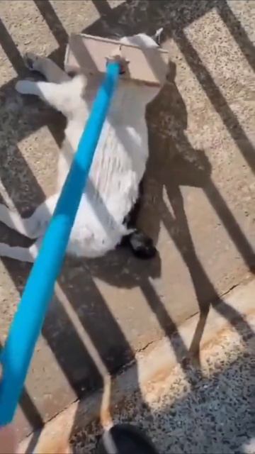 Расслабон смотреть онлайн