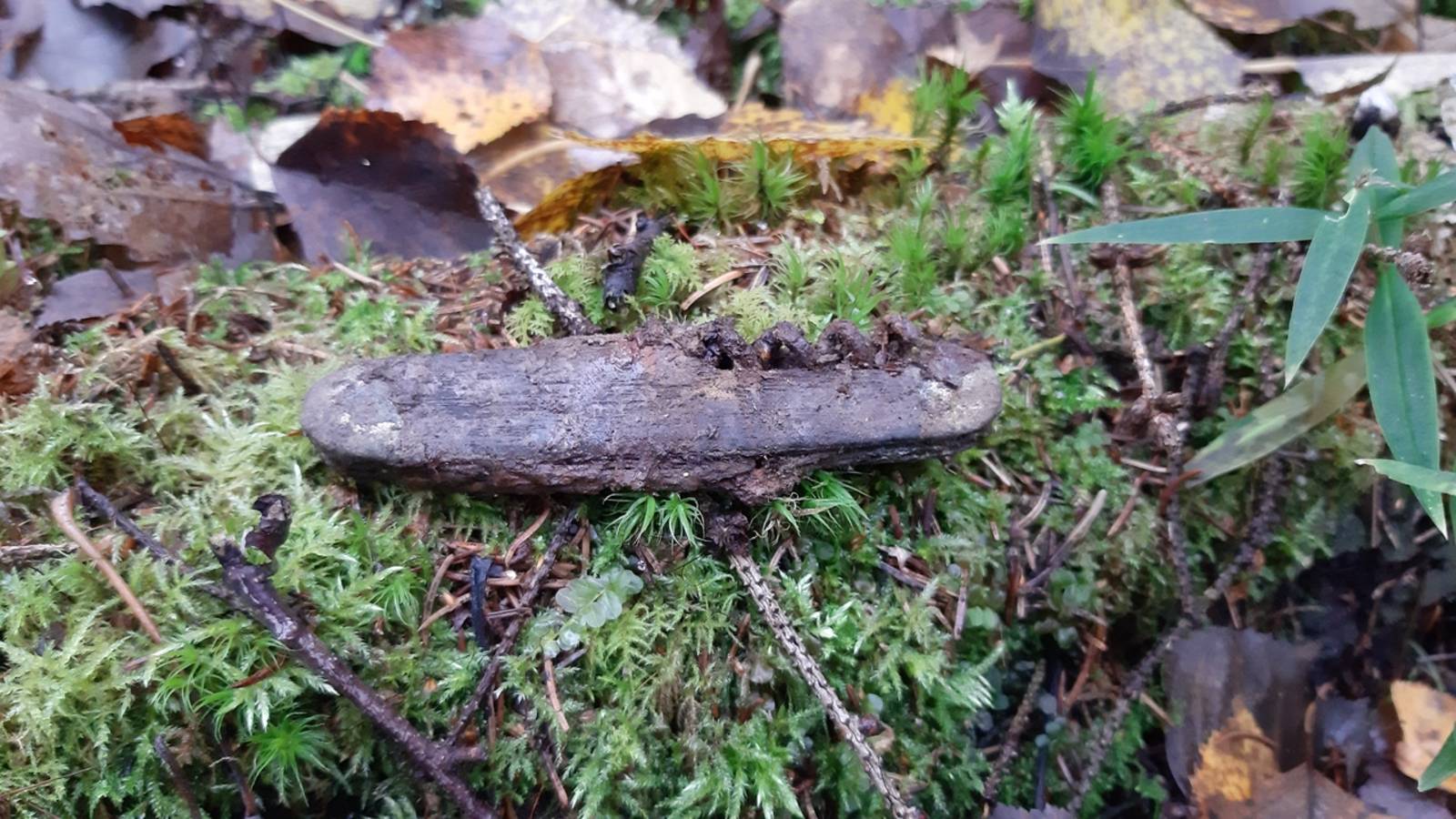 Коп по войне. Фильм 29. Военная археология.